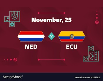 netherlands vs ecuador football 2022 group