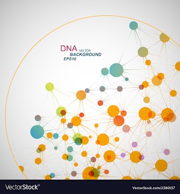Network connection and DNA eps10 vector image