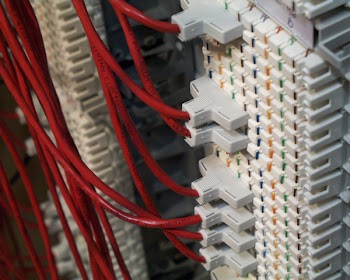 networkcable0009.jpg