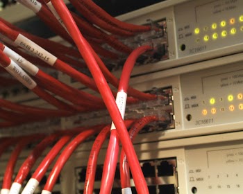 networkcable0010.jpg