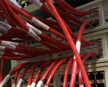 networkcable0011.jpg