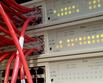 networkcable0013.jpg