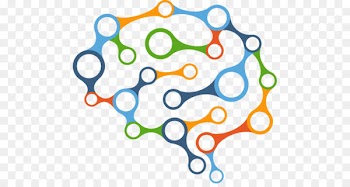 Neurology Reference Handbook Learning Research Health Teacher - taka vector 