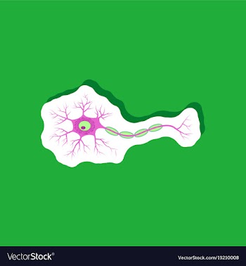 Neuron paper sticker on stylish background vector image