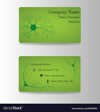 Neurosurgeon or brain doctor business card vector image