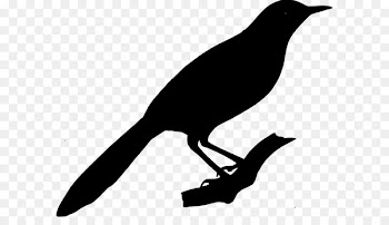 New Caledonian crow Clip art Scalable Vector Graphics Royalty-free -  
