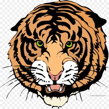 New England High School National Secondary School Williston Education - draw a tiger 
