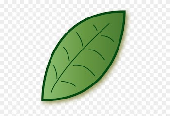 New Forest Tree Surgery Icon - Leaf Icon