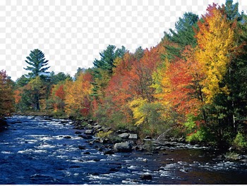 New Hampshire Autumn in New England Aspen Wallpaper - England charming scenery fourteen 