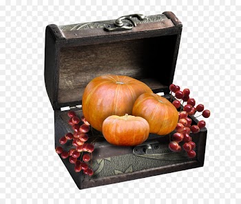 New Hampshire Pumpkin Festival Autumn Pumpkin pie Winter squash - pumpkin 