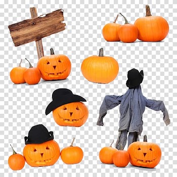 New Hampshire Pumpkin Festival Halloween Jack-o-lantern , Pumpkin Festival transparent background PNG clipart