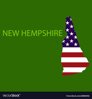 New hempshire state of america with map flag vector image