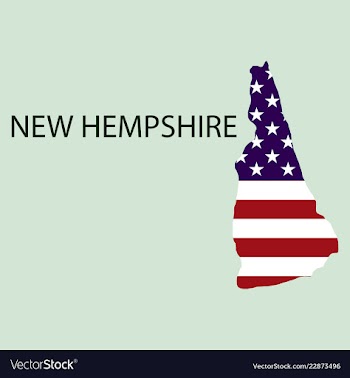New hempshire state of america with map flag vector image