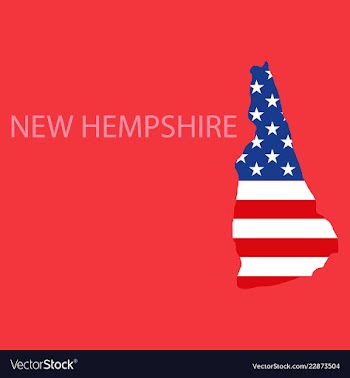 New hempshire state of america with map flag vector image