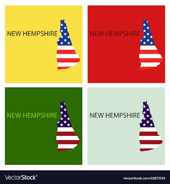 New hempshire state of america with map flag vector image