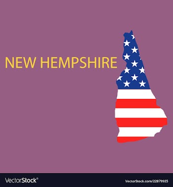 New hempshire state of america with map flag vector image