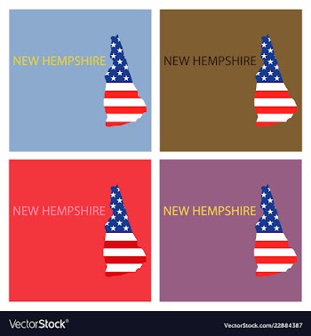 New hempshire state of america with map flag vector image