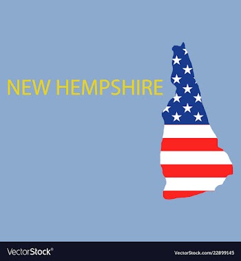 New hempshire state of america with map flag vector image