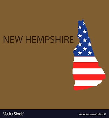 New hempshire state of america with map flag vector image
