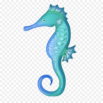 New Holland seahorse Drawing Clip art - Pretty Hippo 