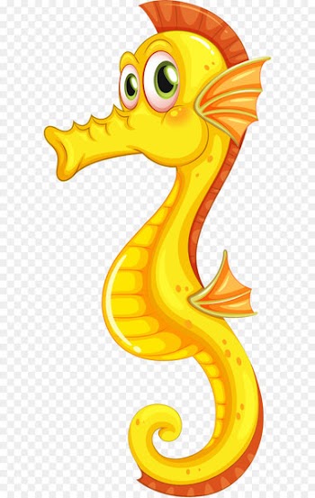 New Holland seahorse Slender seahorse Tiger tail seahorse Clip art - Seahorse PNG 