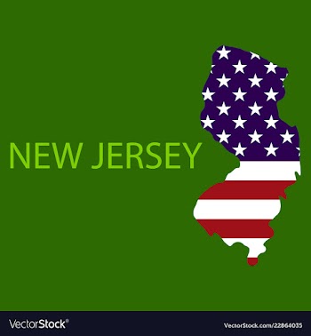 New jersey state of america with map flag print vector image