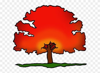 New Jersey State Tree - New Jersey's State Tree