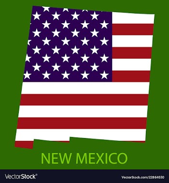 New mexico state of america with map flag print vector image