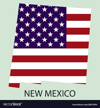 New mexico state of america with map flag print vector image