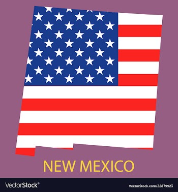 New mexico state of america with map flag print vector image