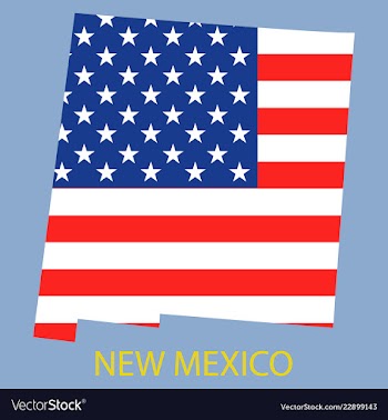 New mexico state of america with map flag print vector image
