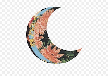 New moon Lunar phase Flower Image - moon 