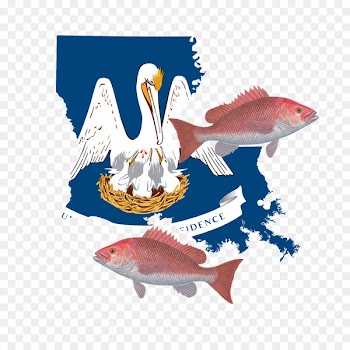 New Orleans Flag of Louisiana State flag U.S. state - flag 