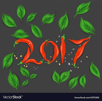 New year red chilli vector image