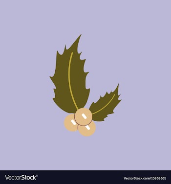 New year rowanberry christmas vector image
