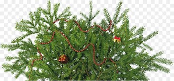 New Year tree Christmas ornament Clip art - tinsel 
