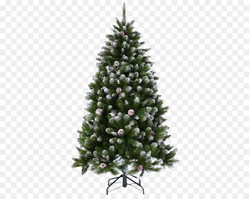 New Year tree Portable Network Graphics Fir Christmas -  