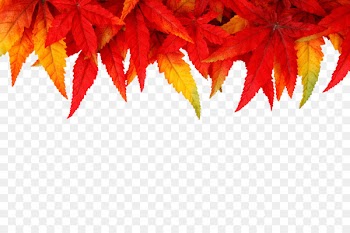 New Years Day Wish Christmas SMS - Red maple leaf 