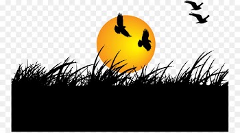 New Years Day Wish Marathi Greeting - Birds and grass vector sunset 