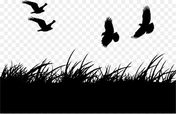 New Years Day Wish Marathi Greeting - Prairie goose 