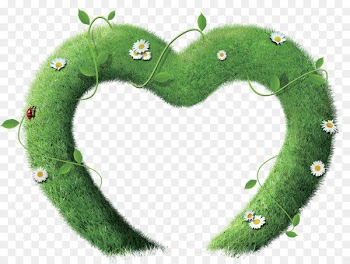 New Years Day Wish Party December - Plant love borders 