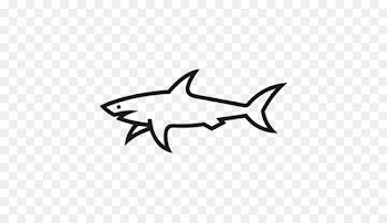 New York City Paul & Shark Logo - Shark Graphics 