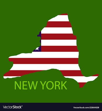 New york state of america with map flag print on vector image