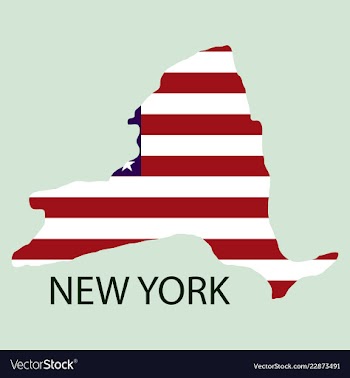 New york state of america with map flag print on vector image