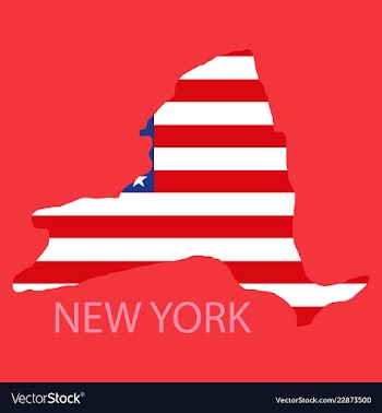 New york state of america with map flag print on vector image