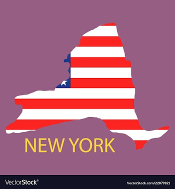 New york state of america with map flag print on vector image