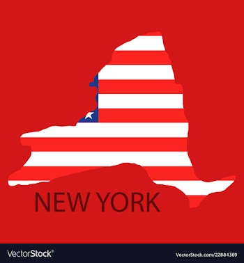 New york state of america with map flag print on vector image