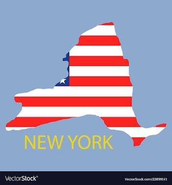New york state of america with map flag print on vector image