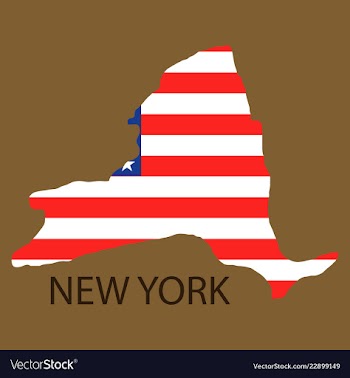 New york state of america with map flag print on vector image
