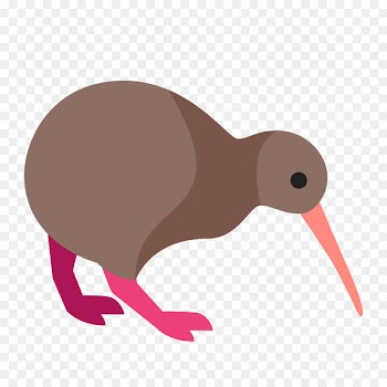 New Zealand Bird North Island brown kiwi Computer Icons Great spotted kiwi - kiwi bird 